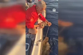 Caretta-Caretta8217nin-Kurtulusu-Vicdansizliga-Karsi-Umut-Isigi-featured