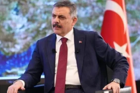 Sokak-Hayvanlari-Toplandi-838217u-Barinaklarda-featured