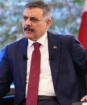 Sokak-Hayvanlari-Toplandi-838217u-Barinaklarda-featured