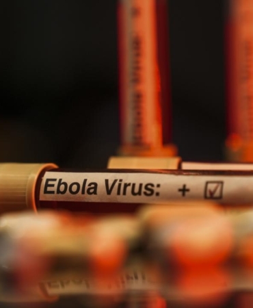 Nijeryadan-Ebola-Uyarisi-Virusun-Yayilma-Riski-Artiyor-featured