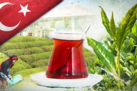 Turk-cayi-ihracati-9-ayda-25-milyon-dolari-asti-featured