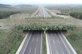 Ulastirma-Bakanligi-Turkiye-Genelinde-21-Ekolojik-Kopru-Insa-Etti-featured