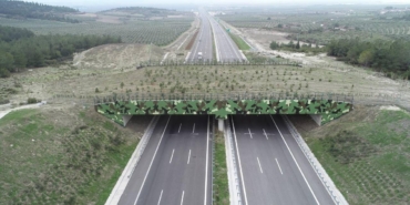 Ulastirma-Bakanligi-Turkiye-Genelinde-21-Ekolojik-Kopru-Insa-Etti-featured